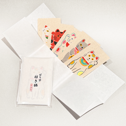 Hand-printed envelope wrapping "Lucky Cat"