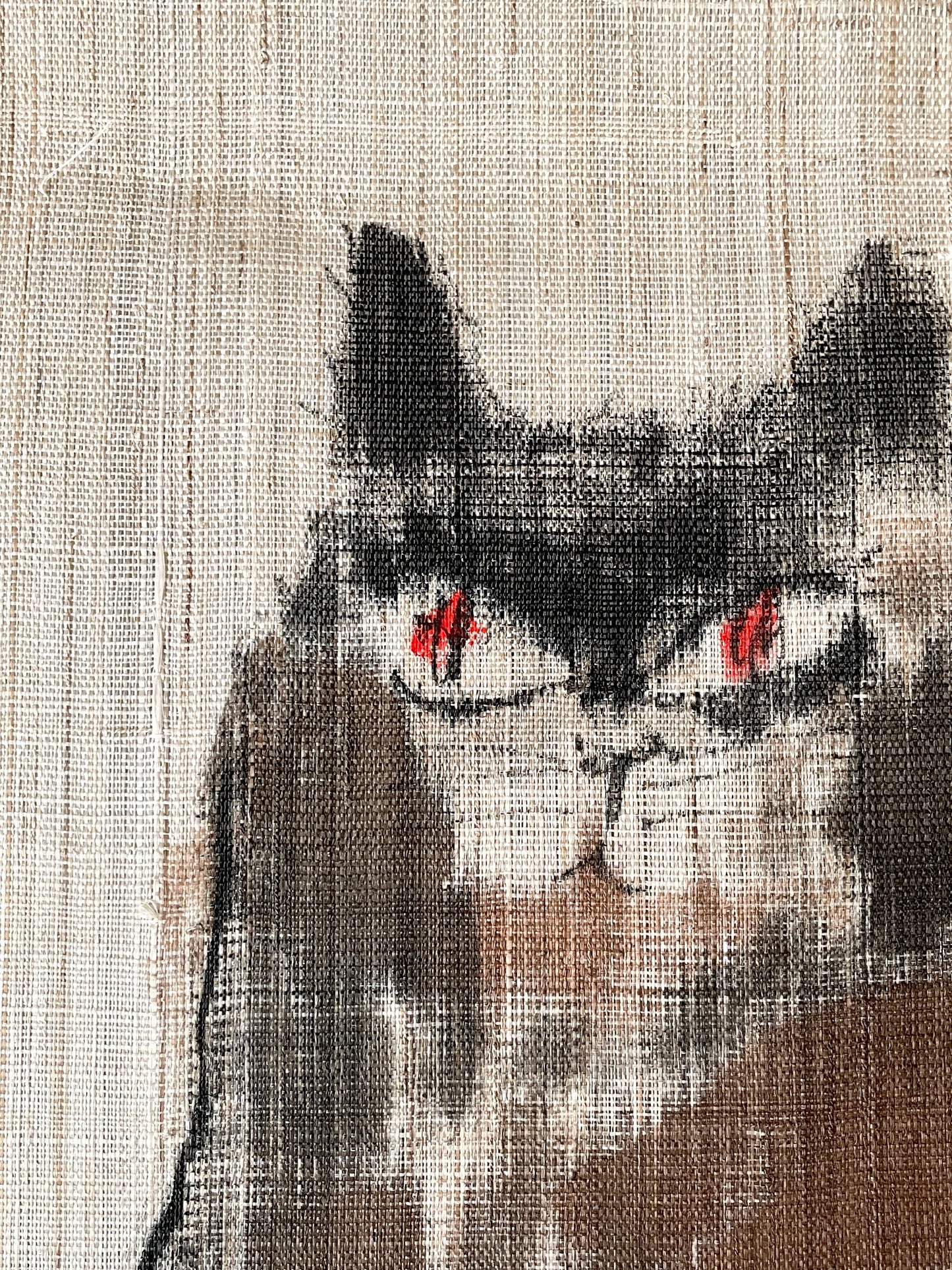 暖簾　CatCatCat